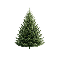Obraz premium Classic Christmas tree for decoration