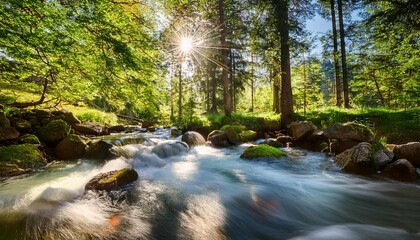 Obraz premium the flowing creek in the forest on a sunny day
