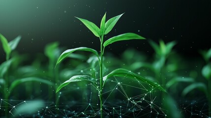 smart farming concept. A vibrant green plant stands tall amidst a dark background, symbolizing growth and the interconnectedness of nature and technology.