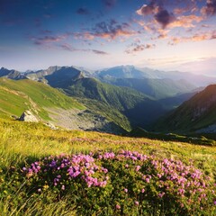 Obraz premium summer landscape with flowers in the mountains