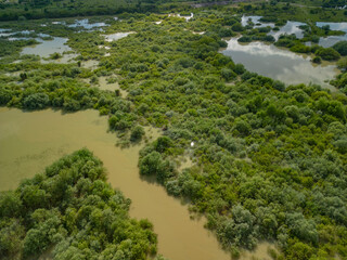 Fototapeta premium Aerial view with a delta, an ecosystem full of lakes and green willows. Amazing wild landscape seen from above in summer on a sunny day