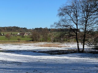 Late autumn landscape and scenery in a park forest along the Swiss Katzenseen lakes or Katzensee lakes (Katzen lakes), Regensdorf - Canton of Zurich (Z&uuml;rich or Zuerich), Switzerland (Schweiz)