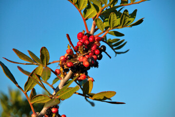 Reportage Capo Milazzo