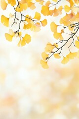 Obraz premium Golden Ginkgo biloba plant leaf in Fall closeup view.