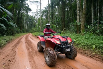 A rider on an ATV navigating through a dense forest trail, surrounded by lush greenery and sunlight streaming through the trees