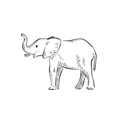 Obraz premium Side profile elephant in black and white line drawing. 