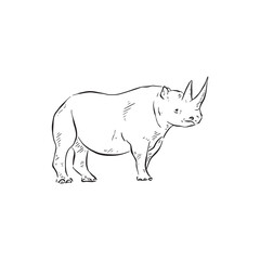 A line drawn side profile of rhino. Safari, wild animal, African Savanna.