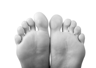 Grayscale barefoot female feet with smooth skin and neat toes, back view showing sole and pad. Beautiful anatomy, pedicure, and health concepts. Clean and soft, isolated on white