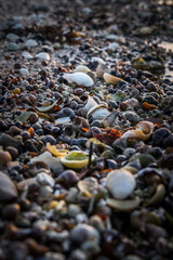 pebbles on the beach