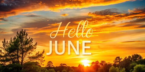 Hello June Sunset with Trees, Golden Hour, Summer Sunset, Forest , june, sunset, golden