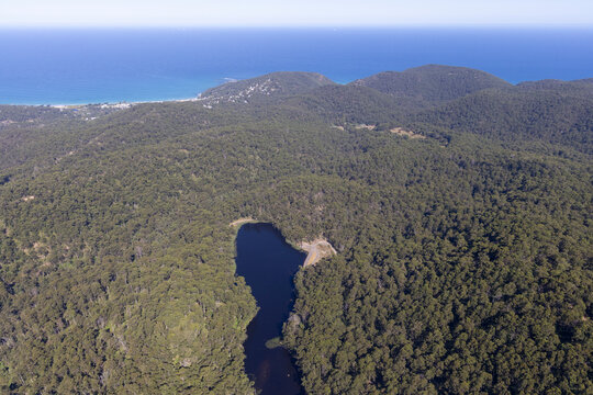 Aerial view of allen dame lake surrounded by lush forest and hills, Lorne, Australia.