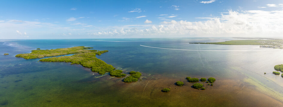 Aerial view of tropical mangroves and serene waters under a sunny sky, Islamorada, USA.