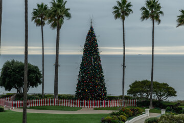 Scenic aerial view of a tall Christmas tree at the Salt Creek Beach in Dana Point, Orange County, Southern California