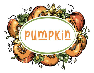 Background of pumpkin, leaves, flowers and seeds in vector hand drawn style, detailed autumn harvest halloween illustration. Stock illustration