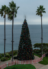 Scenic aerial view of a tall Christmas tree at the Salt Creek Beach in Dana Point, Orange County, Southern California