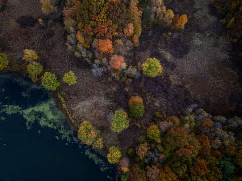 Aerial view of vibrant autumn foliage and tranquil forest with a serene water body, Dedham, Massachusetts, United States.