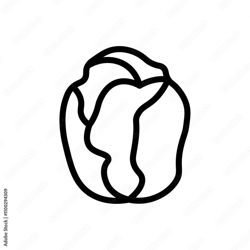 Aufkleber Brussels sprouts Cabbage icon Outline vector for web ui