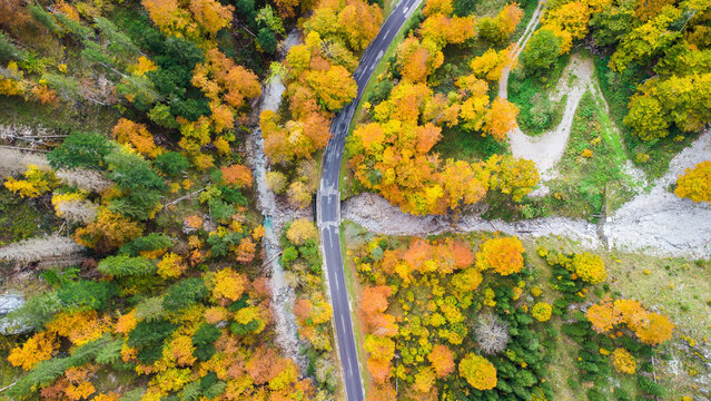 Aerial view of winding road through vibrant autumn forest with colorful foliage, Kalkalpen, Styria, Austria.