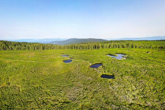 Aerial view of pristine Lovrenska jezera swamp and forest in a serene nature reserve, Rogla, Slovenia.