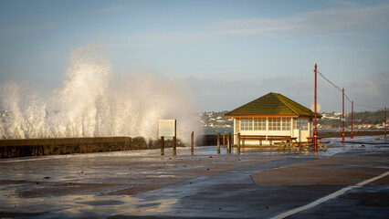 Fototapete bei efototapeten.de bestellen   