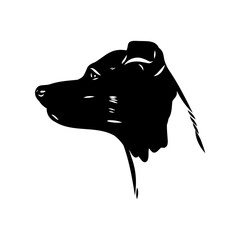 Japanese Terrier hand drawing vector illustration isolated on white background