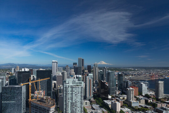 Aerial view of beautiful skyline with modern highrise buildings and Mt. Rainier in the background, downtown Seattle, United States.