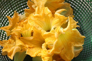 edible yellow flowers on green busket