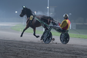 Racing horses trots and rider on a track of stadium. Competitions for trotting horse racing. Horses compete in harness racing. Horse runing at the track with rider.
