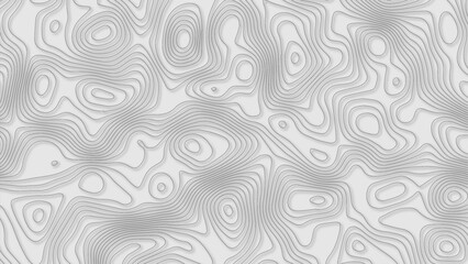 Fototapeta premium Topographic map. Geographic mountain relief. Abstract lines background. Contour maps. Vector illustration, Modern design with White background with topographic wavy pattern.