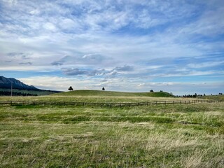 Obraz premium Vast Open Space and Peaceful Trees