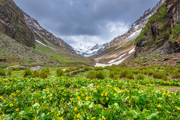 Rupin Pass is a high altitude trek in Himachal Pradesh located at 4650m.Trek is full of diversity from majestic Himalayan ranges to waterfalls, glacial meadows, snow-covered landscapes, lush forests.
