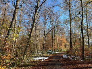 Obraz premium Sports and recreation trails around the Swiss Katzenseen lakes or promenade along Lake Katzensee (Katzen Lake), Regensdorf - Canton of Zurich (Zürich or Zuerich), Switzerland (Schweiz)