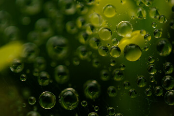 Water drops on a green background. Water droplets