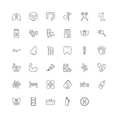 Fototapeta premium fully editable outline icon collection from medical concept. thin line icons set such as lungs, dead, pelvic area, brush with tooth paste, heliport,