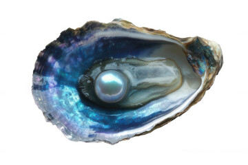 An Iridescent oyster shell revealing a lustrous pearl on white or transparent background.