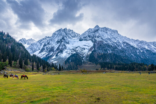 Serene Landscape of Sindh river valley near Sonamarg village in Ganderbal district of Jammu and Kashmir, India. It is a popular tourist destination for trekking and Amarnath holy pilgrimage.