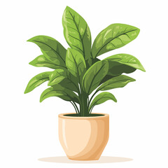 Elegant Plants in Vase Vector Illustration on White Background