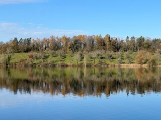 Fototapeta premium Late autumn atmosphere on the Swiss Katzenseen lakes or Katzensee lakes (Katzen lakes), Regensdorf - Canton of Zurich (Zürich or Zuerich), Switzerland (Schweiz)