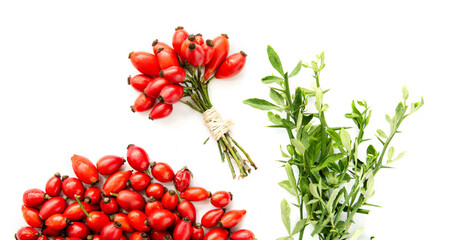 bunch of fresh dog rose, Rosa canina, rosehip rose hips isolated on white background