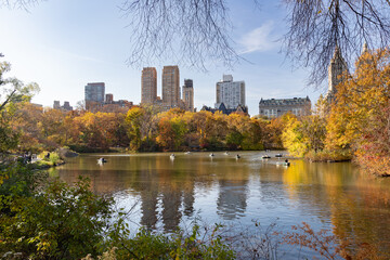 Fototapeta premium Autumn day at the lake in Central Park with city skyline view.