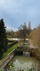 A pond with a bridge over it and trees in the background
