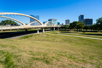 Fort Worth Bridge