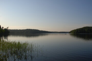 Fototapeta premium Lake under a clear sky. Forest lake with small waves on the surface, under a blue cloudless sky. On the other side of the lake there is a forest with green foliage. Bushes and reeds grow near water.
