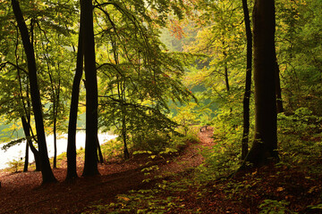 Jesienna ścieżka do relaksu na łonie natury © Tomasz