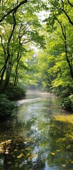 Obraz premium Sunlight filtering through the trees and casting dappled shadows on a serene river in a spring forest, river, landscape, forest