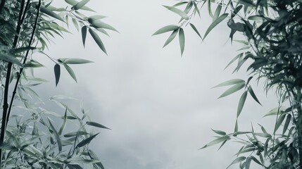 Naklejka premium Zen-Inspired Bamboo Frame: Subtle Snake Forms and Delicate Leaves on Misty Gray Background, Soft Lighting, and Ethereal Mood in Fine Art Quality, 4K Resolution.