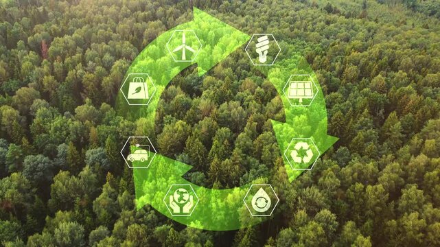 Strategies and goals for sustainable development. Recycling and renewable natural resources. Energy consumption and reduction of CO2 emissions. Sustainable energy sources. Sustainability in Nature.