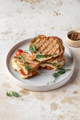 Grilled sandwich panini with mozzarella cheese, cherry tomatoes and pesto on white plate, kitchen...