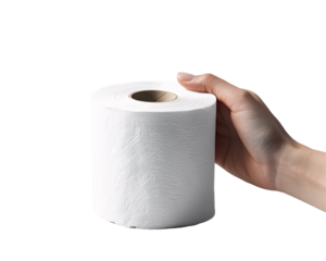 a hand holding a roll of toilet paper