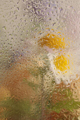 Soft focus  flower bouquet through glass with wet water drops. Abstract nature blur background.